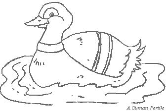 L'anatra qua qua